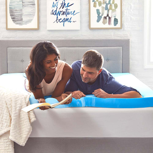 Sealy Essentials 3" Memory Foam Mattress Topper & Reviews Wayfair